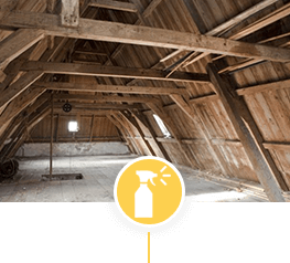 Attic Decontamination