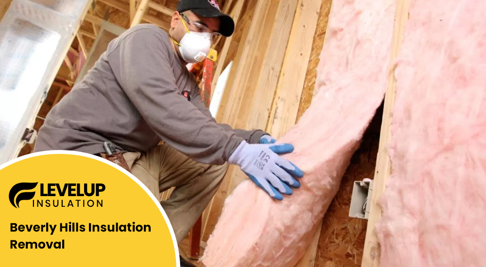 Beverly Hills Insulation Removal